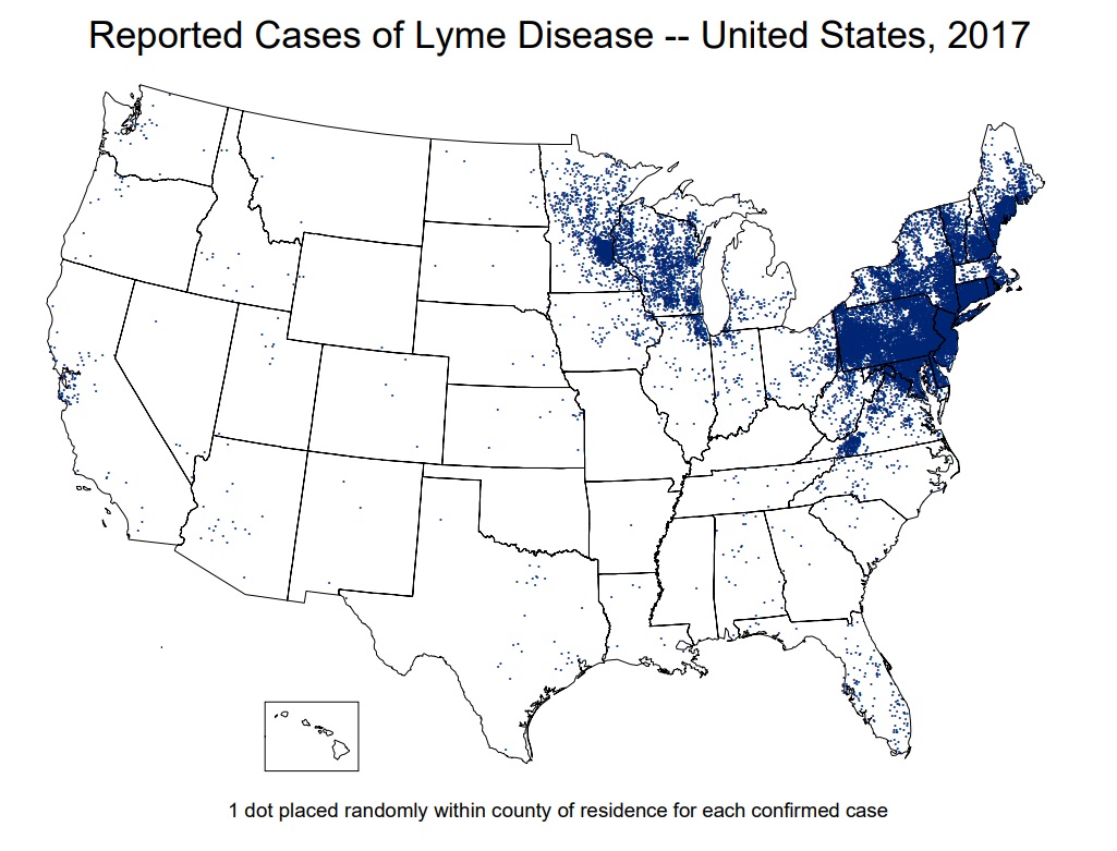 Deer Ticks Minnesota Map Lyme disease in Minnesota   MN Public Health Data Access portal 